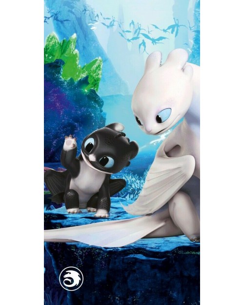 How to train your Dragon Beach Towel Character Kids Swimming Holiday